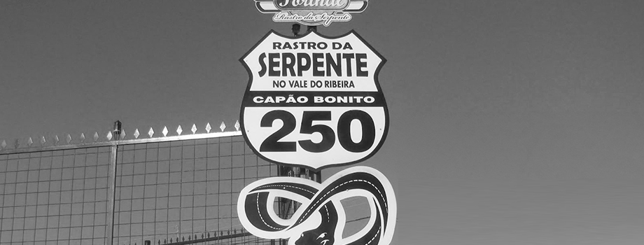 AF-capa-galeria-rastro-serpente.jpg